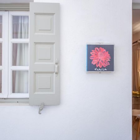 Sing And Blossom Accommodation Mykonos Town Eksteriør bilde