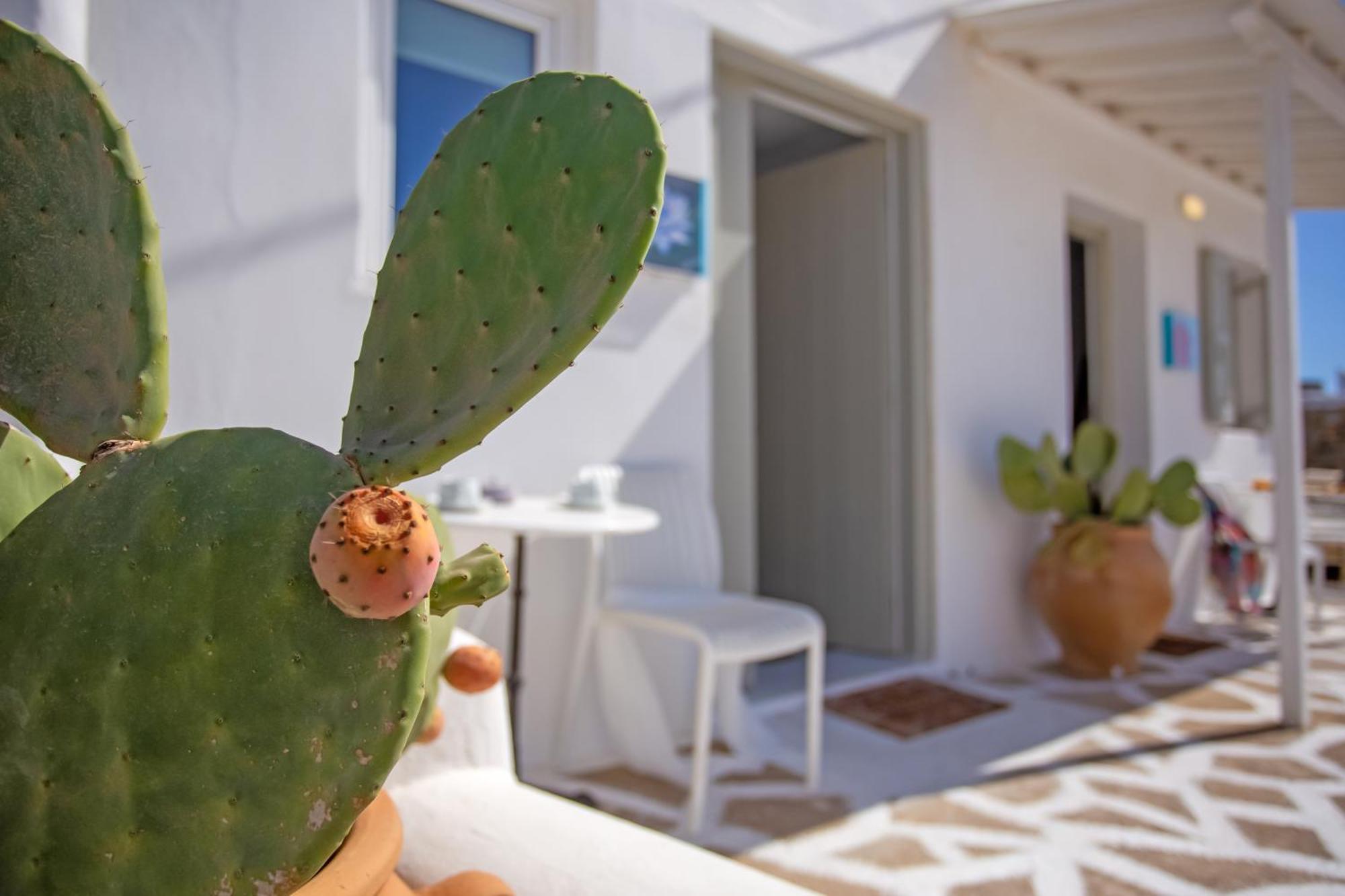 Sing And Blossom Accommodation Mykonos Town Eksteriør bilde