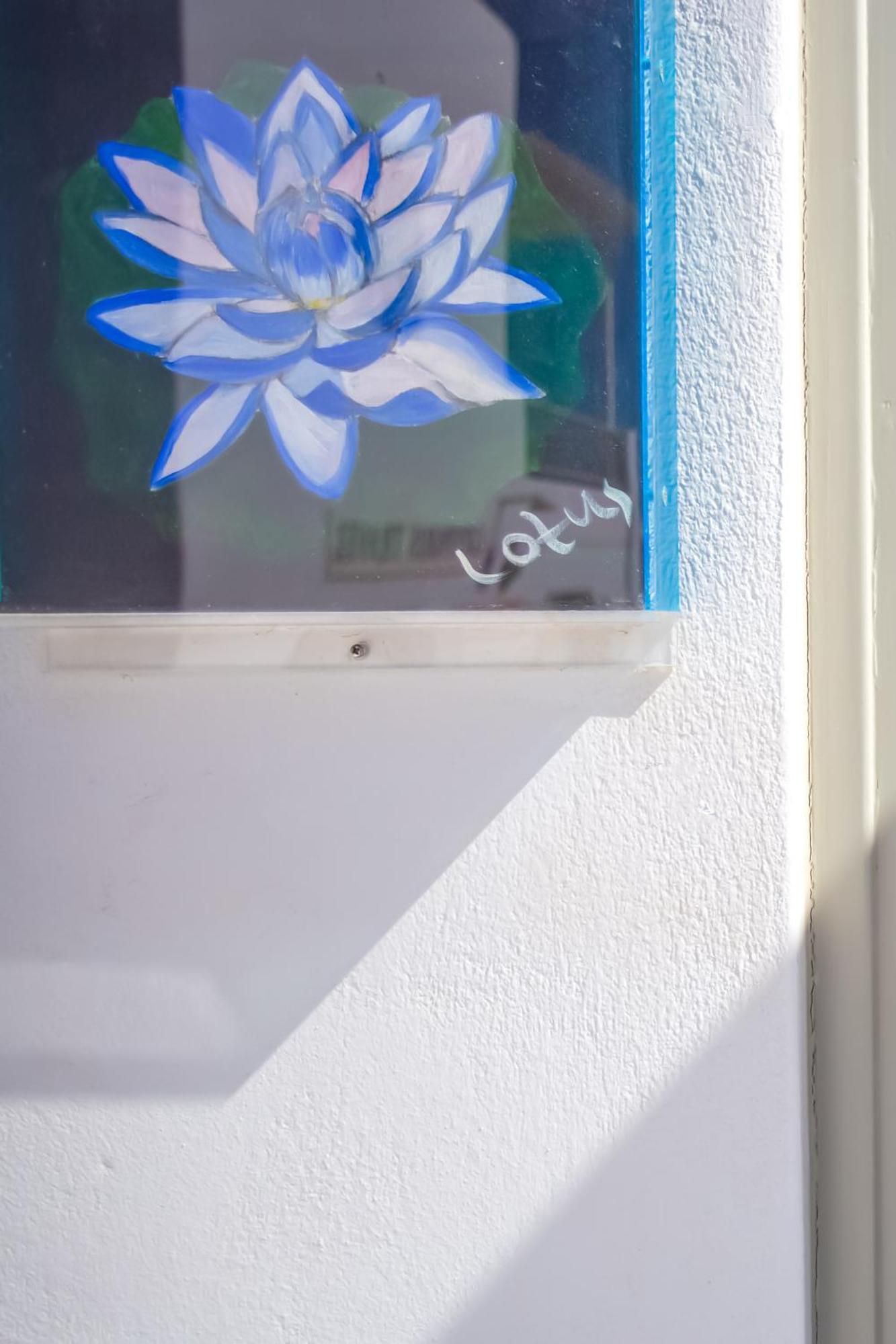 Sing And Blossom Accommodation Mykonos Town Eksteriør bilde